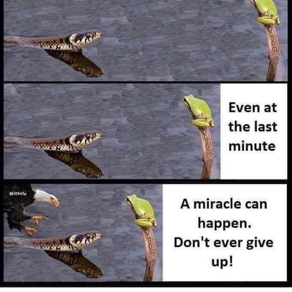 Heather Jordan 🌸✝️🩸👀👂🎺 tweet media