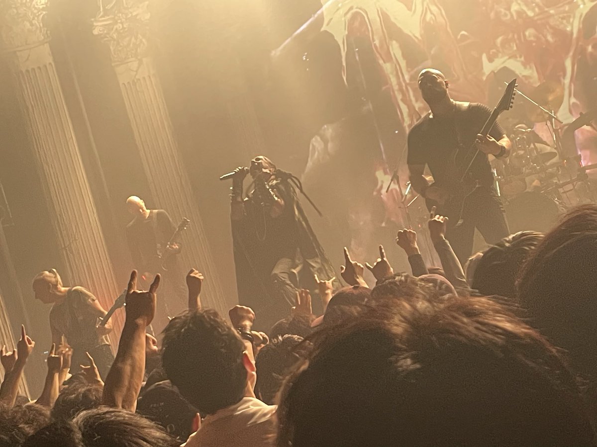 ハモンド🎸ファズ太郎 tweet media