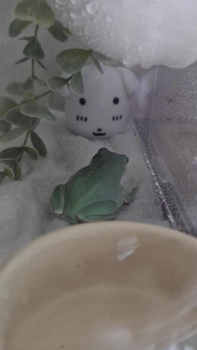 나윤이 tweet media