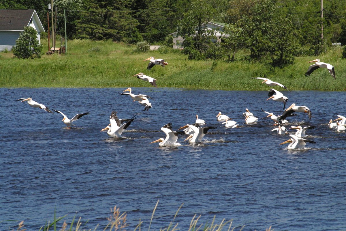 Sunset Country tweet media