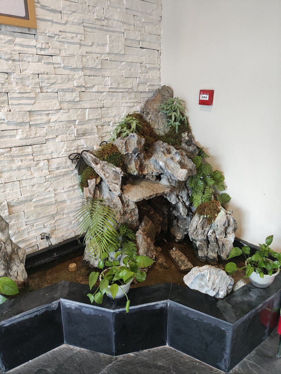 Sam Robinson tweet media