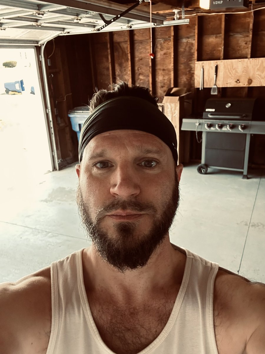 TheOnceAndFutureTimbo 🐈⬛🐦⬛ tweet media