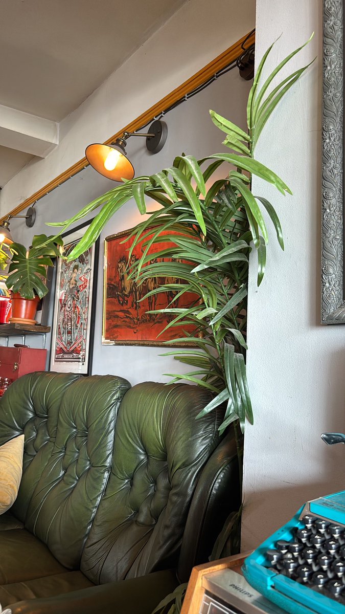 gal24d's tweet image. Say less