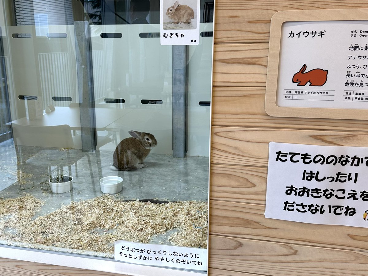 今日は山形県河北町さんと「ふるさと逸品協定」を締結しました。
河北町は、スリッパ🩴の生産量日本一で、シェア40%だそうです。また、冷たい肉そば発祥の地で、それらを逸品と位置付け、今後連携してPRを行い、人的交流も取り組んでまいります。
桜🌸が満開で、美しい町でした。