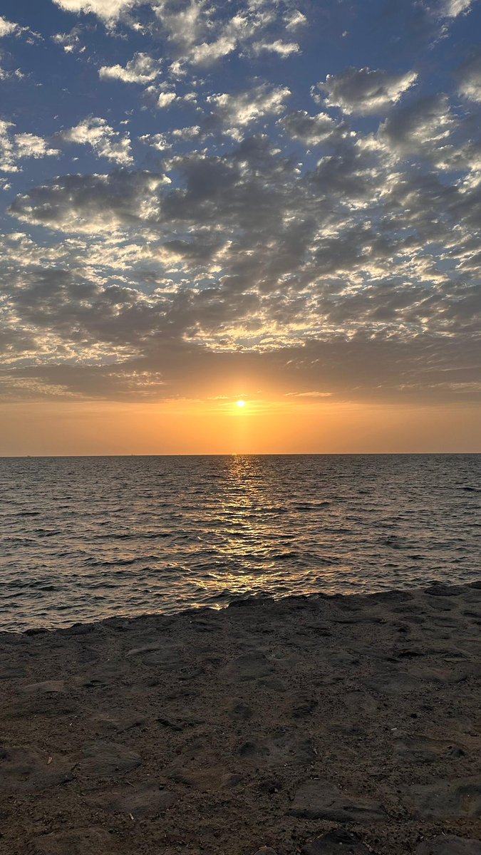 العمدة /حمزه آل عقيل tweet media