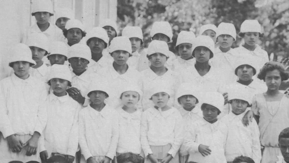 CINEVITOR tweet media