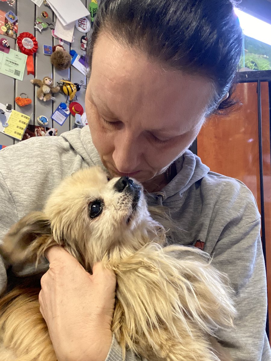 Dominika Waluś ⚡️✌️💪 tweet media