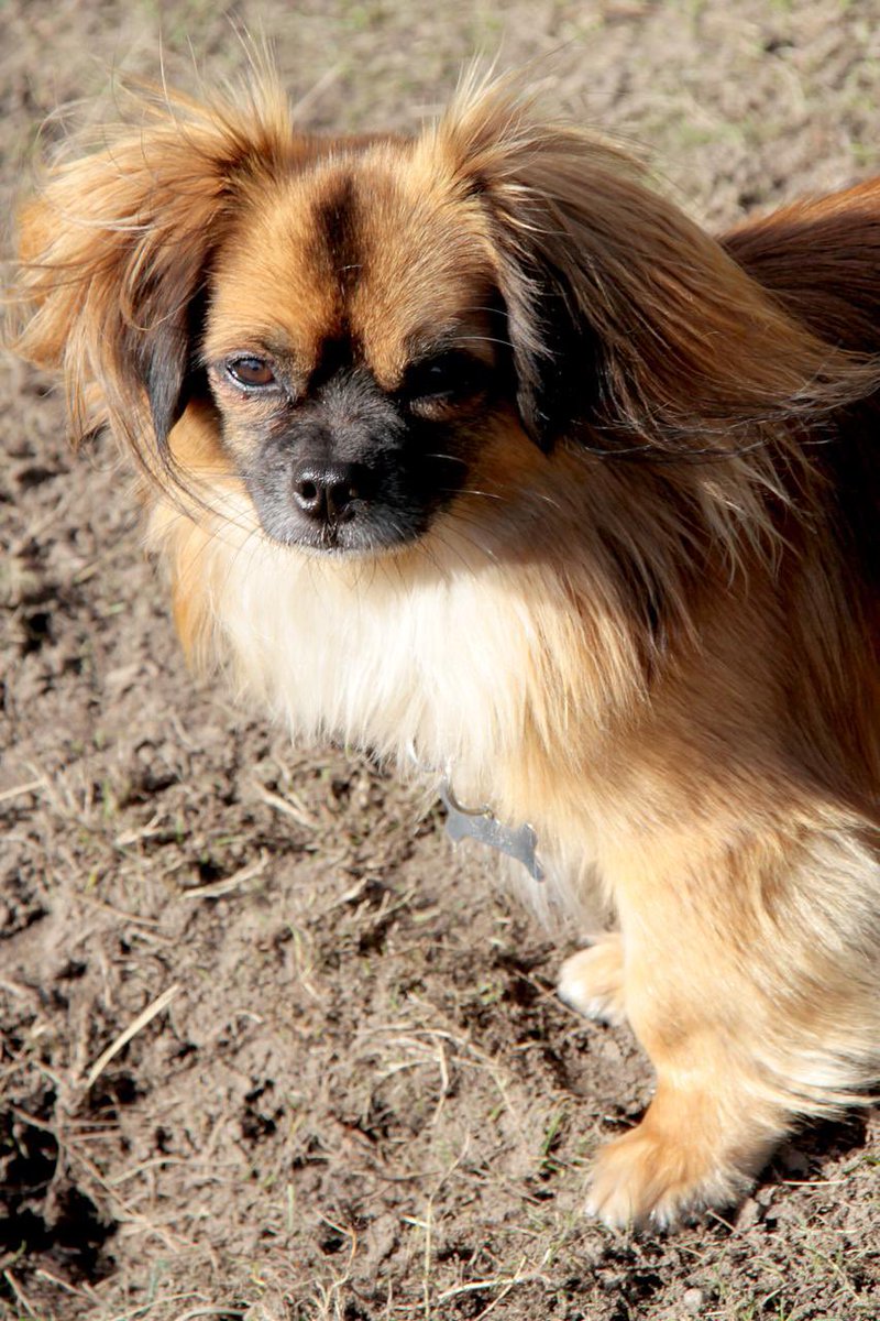 Dominika Waluś ⚡️✌️💪 tweet media