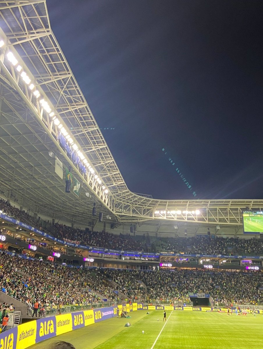 sepiezika🇮🇹🇵🇸 tweet media