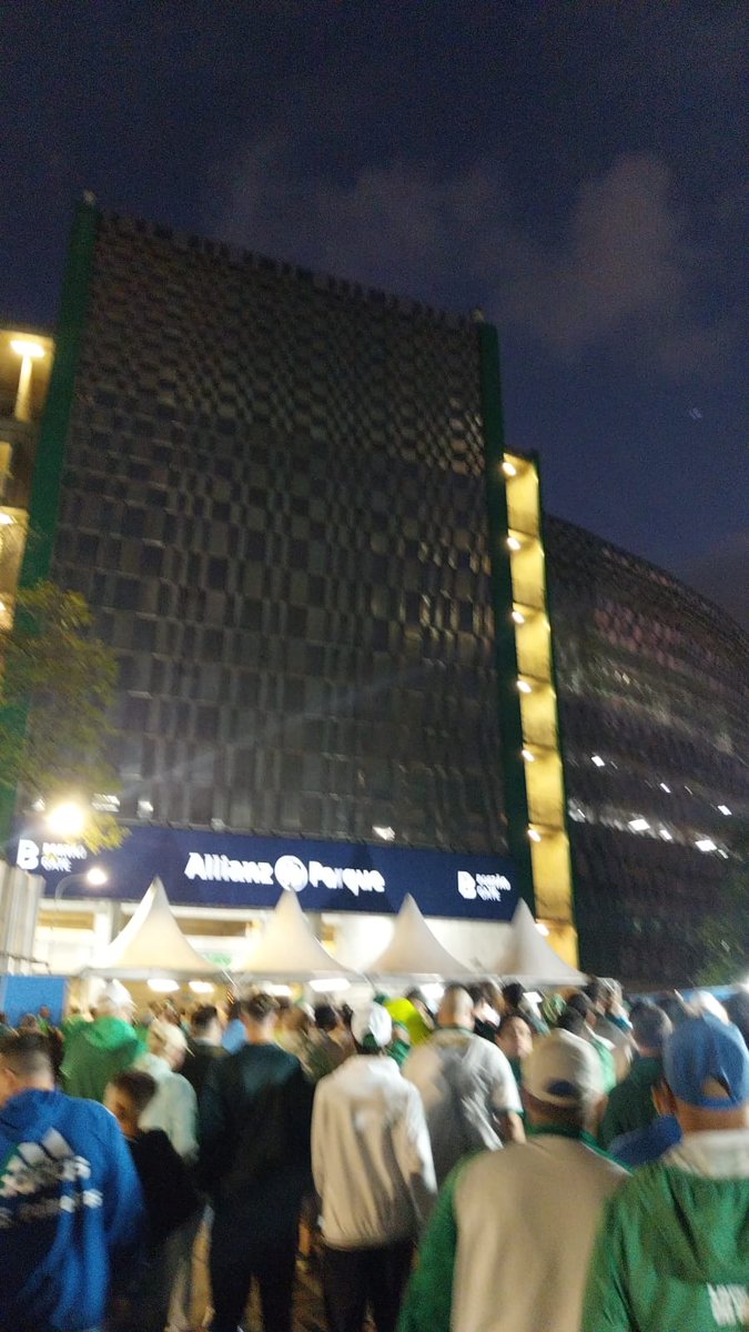 sepiezika🇮🇹🇵🇸 tweet media