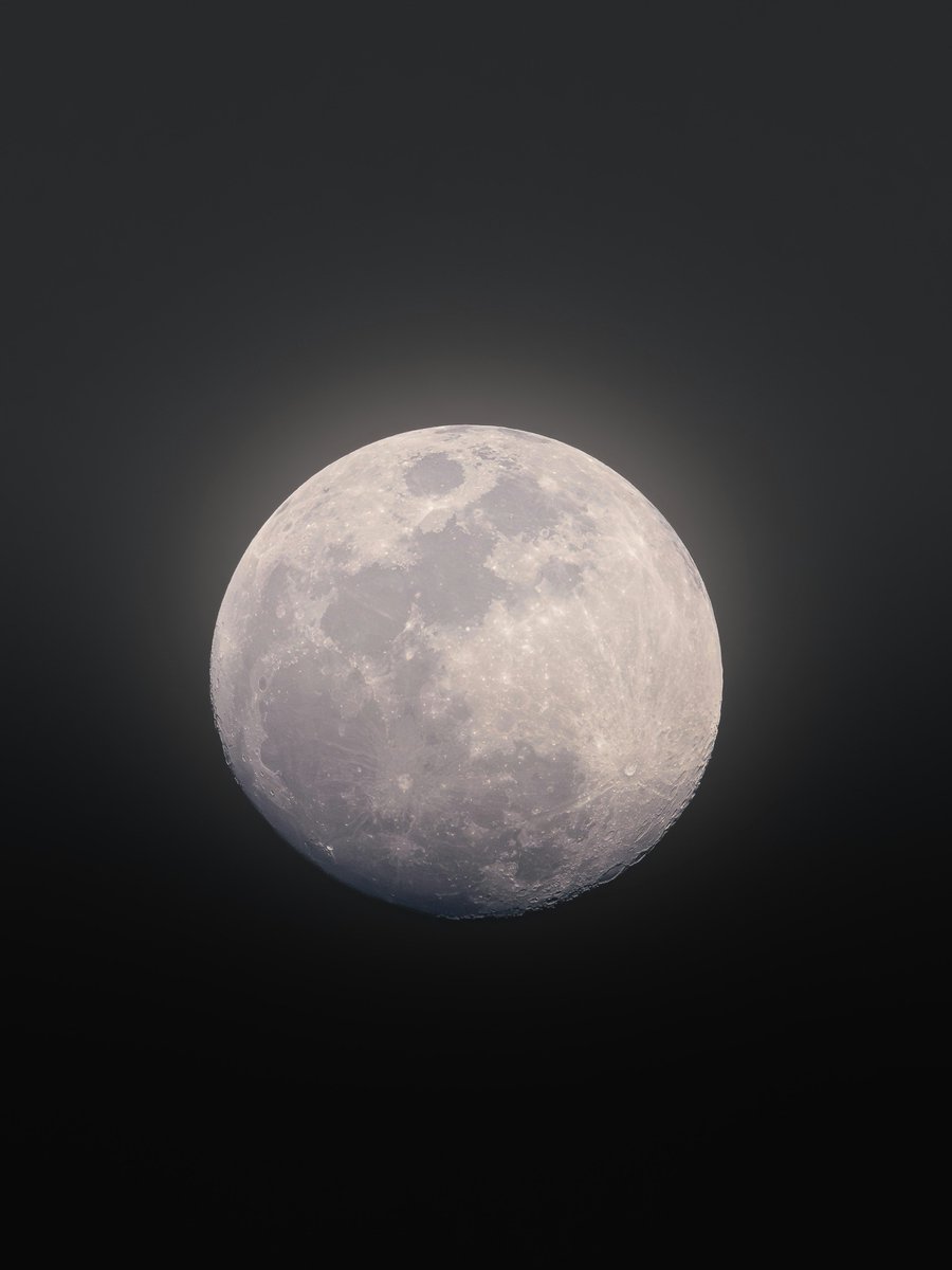 Unsplash tweet media