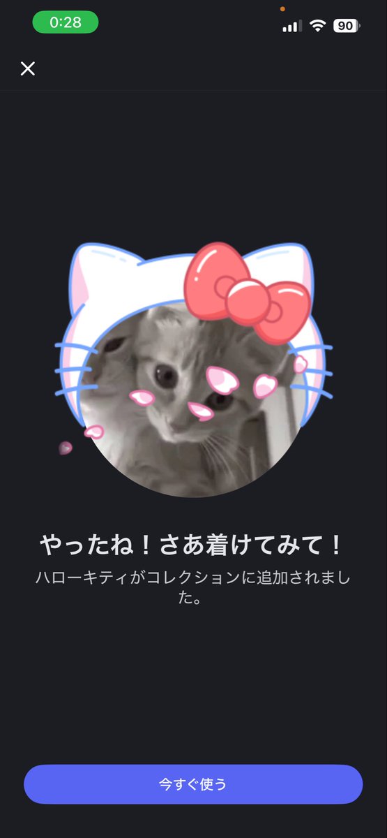 Lyla koneko tweet media