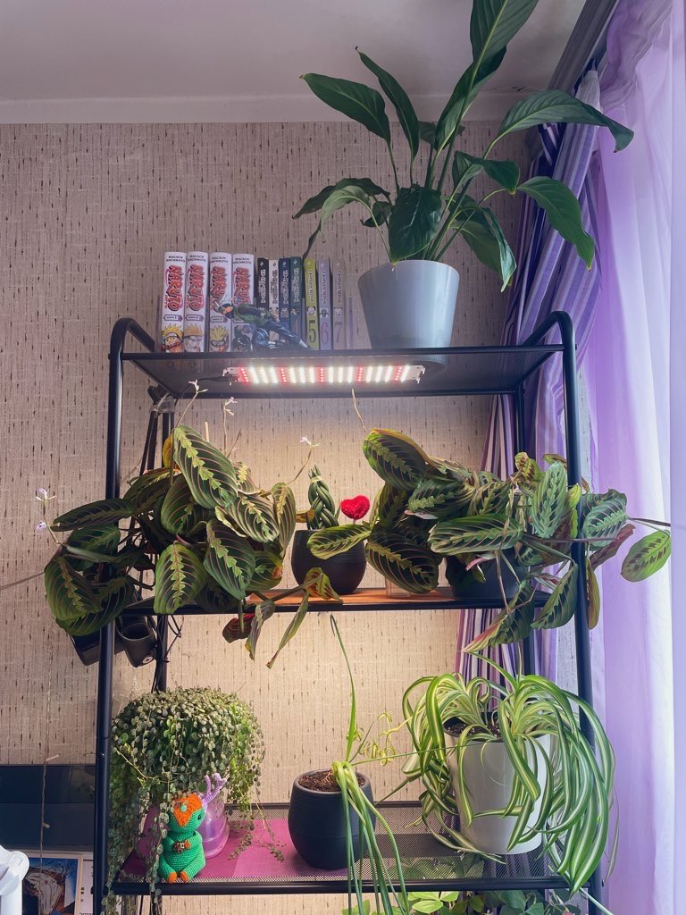 jimbo_roach 🪳 tweet media