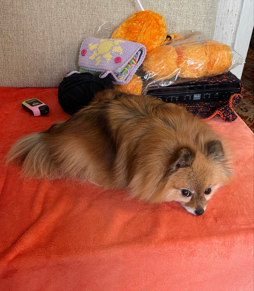 jimbo_roach 🪳 tweet media