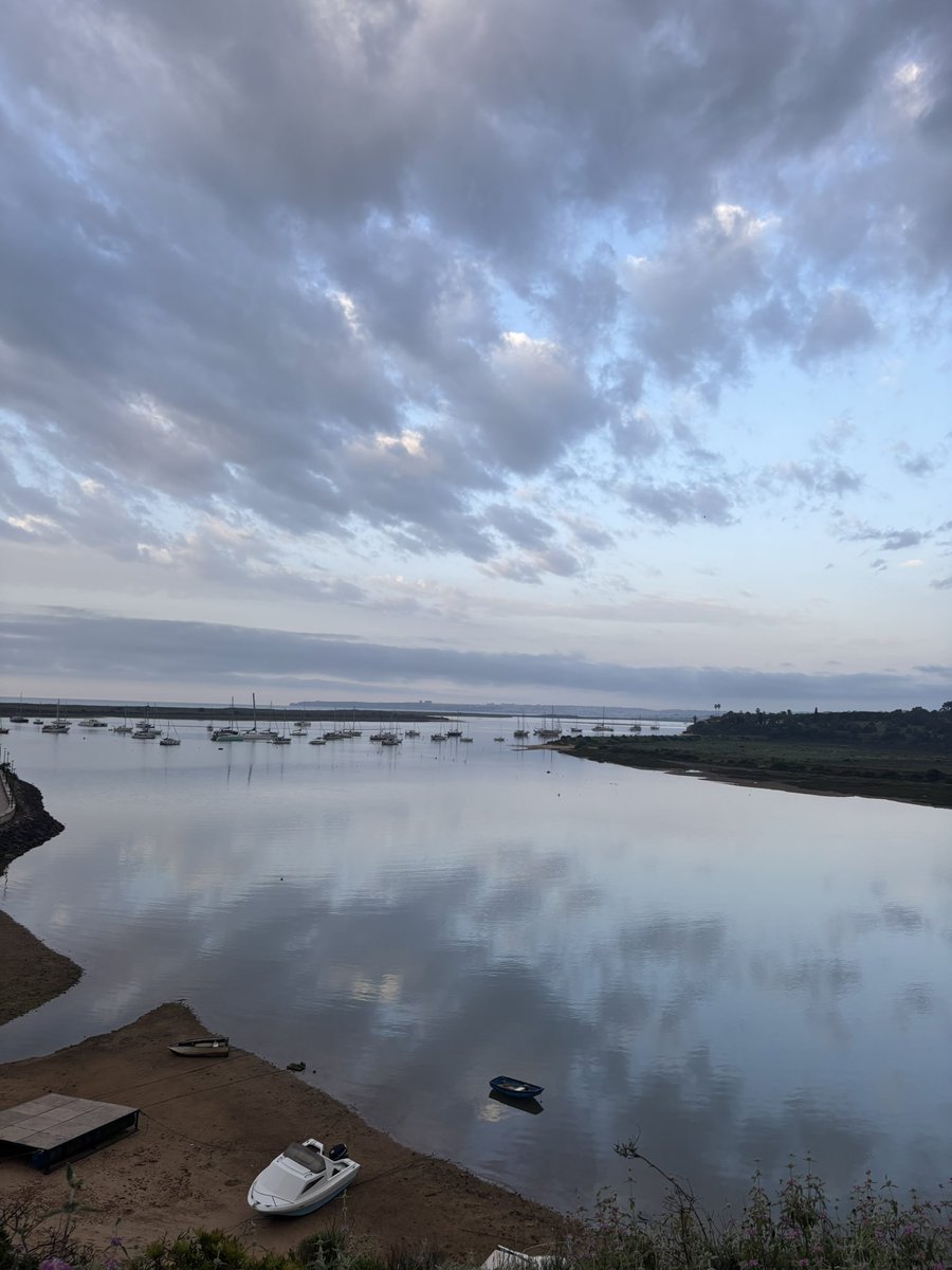 dangermouse tweet media