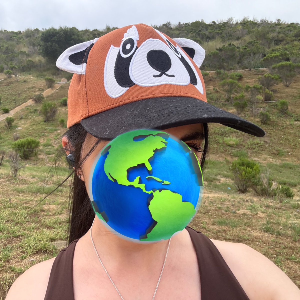 evilwizardbunny's tweet image. the real reason you all follow me is not for my baking/toastpoasting but rather for my Novelty Hat collection, right?