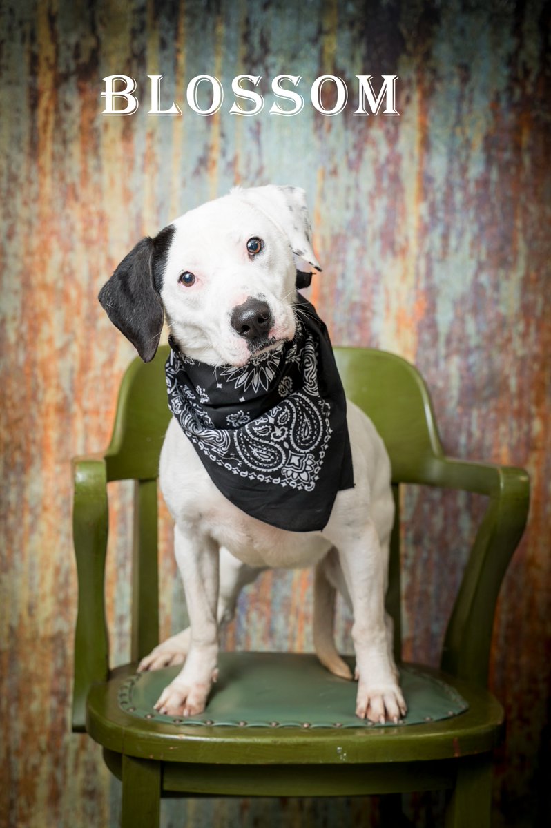 North Myrtle Beach tweet media