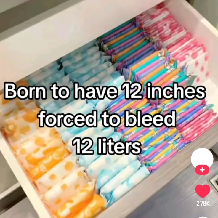 ella🌸 tweet media