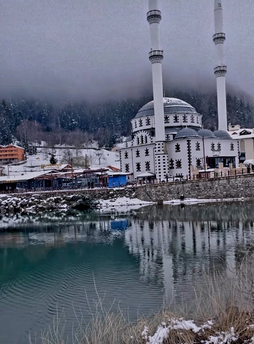 Gok_ay_61's tweet photo. ...
Biliyoruz iyi #adamlar iyi atlara binip gittiler.
Ardından #vatan hainleri hiç utanmadan yas tuttular.
Her uluyanı #Kurt sanmayın,
aramızda ustaca #Kurt taklidi yapan çok köpek var..
Çok Mutlu Akşamlar Dilerim Herkeslere..♥️💙😊🙋♂️🙏🇹🇷🇵🇸🇹🇷 https://t.co/IpexAw2Kou