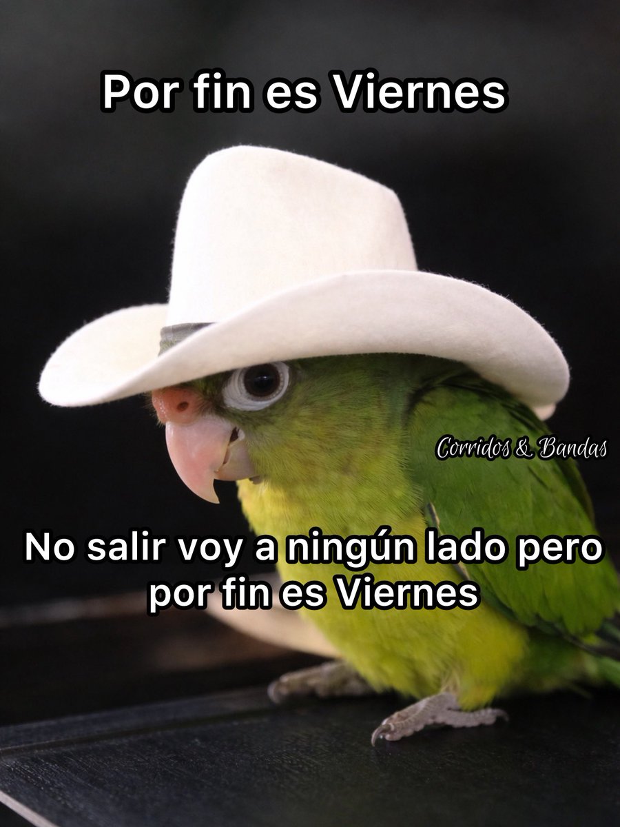 corridosybandas's tweet photo. https://t.co/xze0iR7NMW