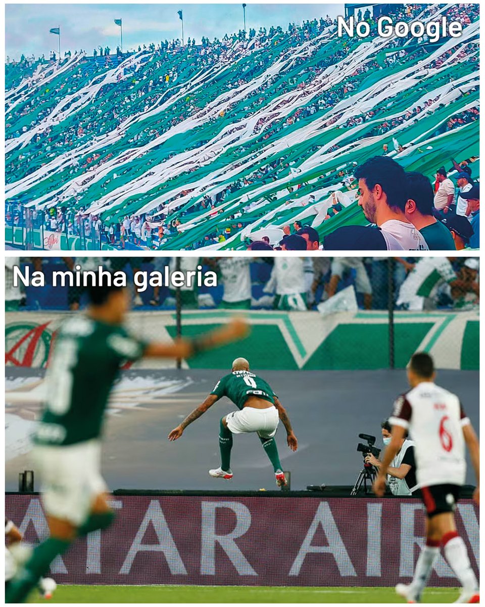 SE Palmeiras tweet media