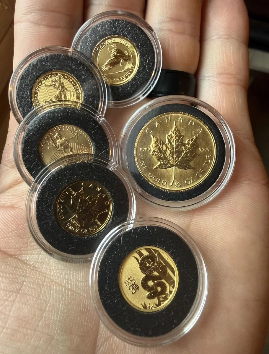 peer_metals's tweet image. 🍁 My First Full Ounce

Half ounce arrived. Milestone reached.

Six coins. One complete ounce.

Maples stacked. Total achieved.

We made it.

📍 r/Gold
Credit: u/Sakura_Taifu

#gold #mapleleaf #firstounce #goldstacking #milestone