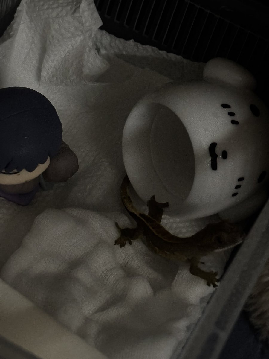 죠영이 tweet media