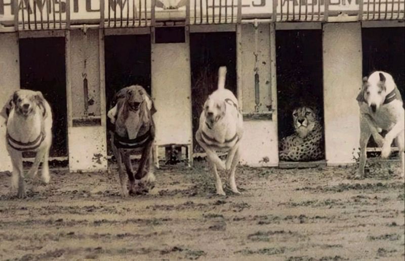 Herkes iyi akşamlar iyi tatiller dilerim 😎