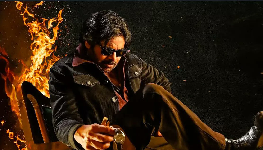 Film Wood Fiscal tweet media