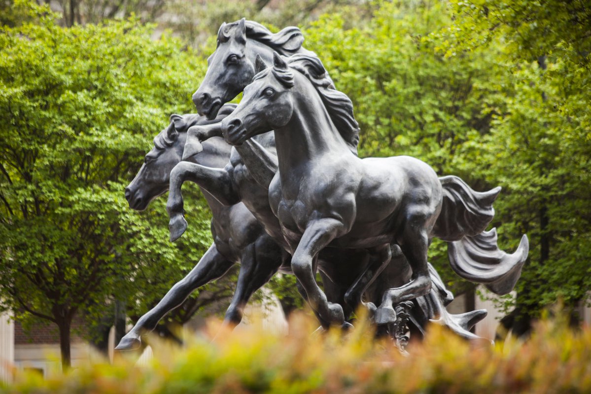 SMU Women's Basketball tweet media