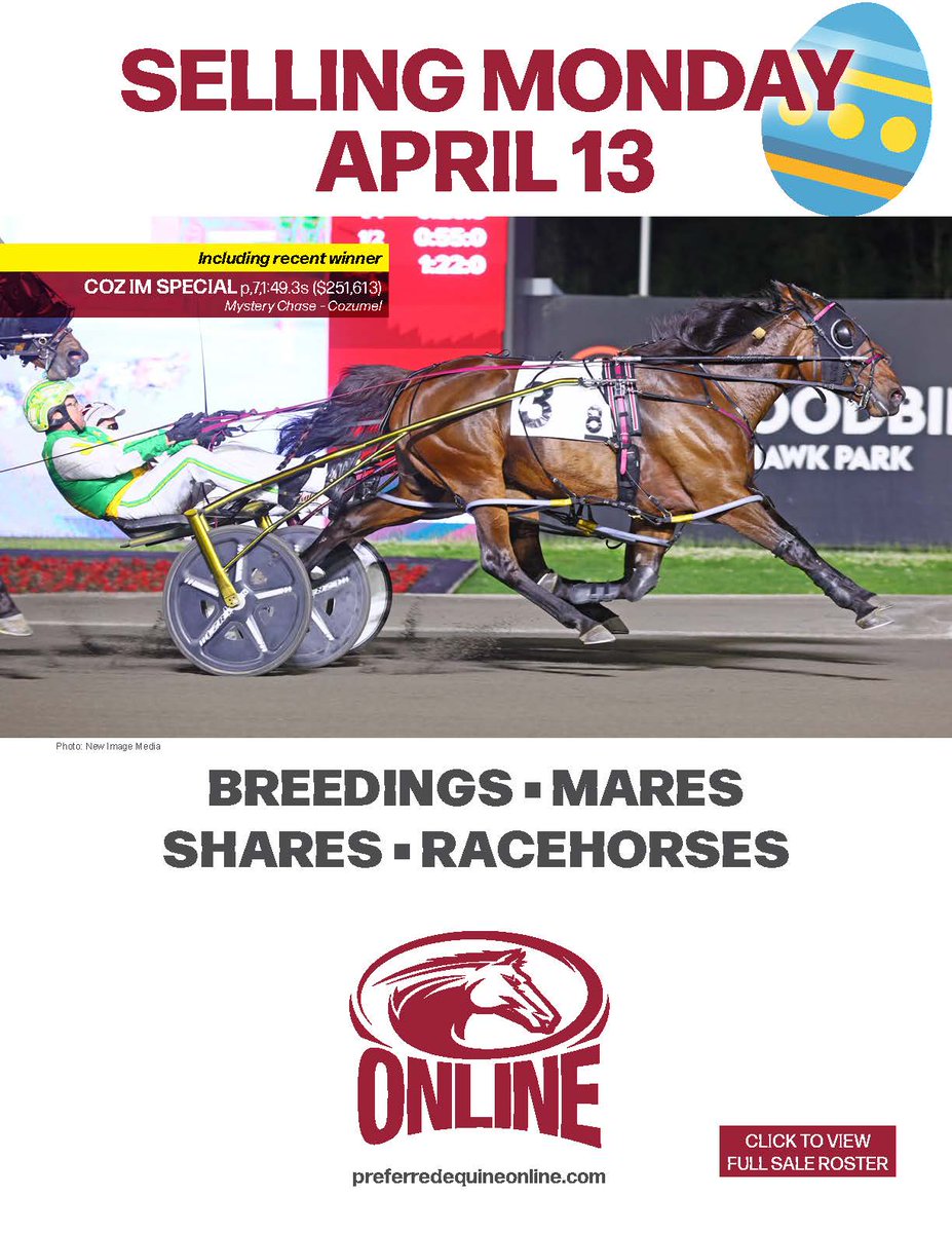 Preferred Equine tweet media