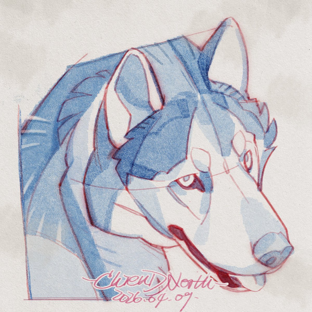 Chien.D.North tweet media