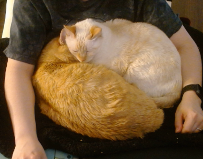 monkee343 tweet media