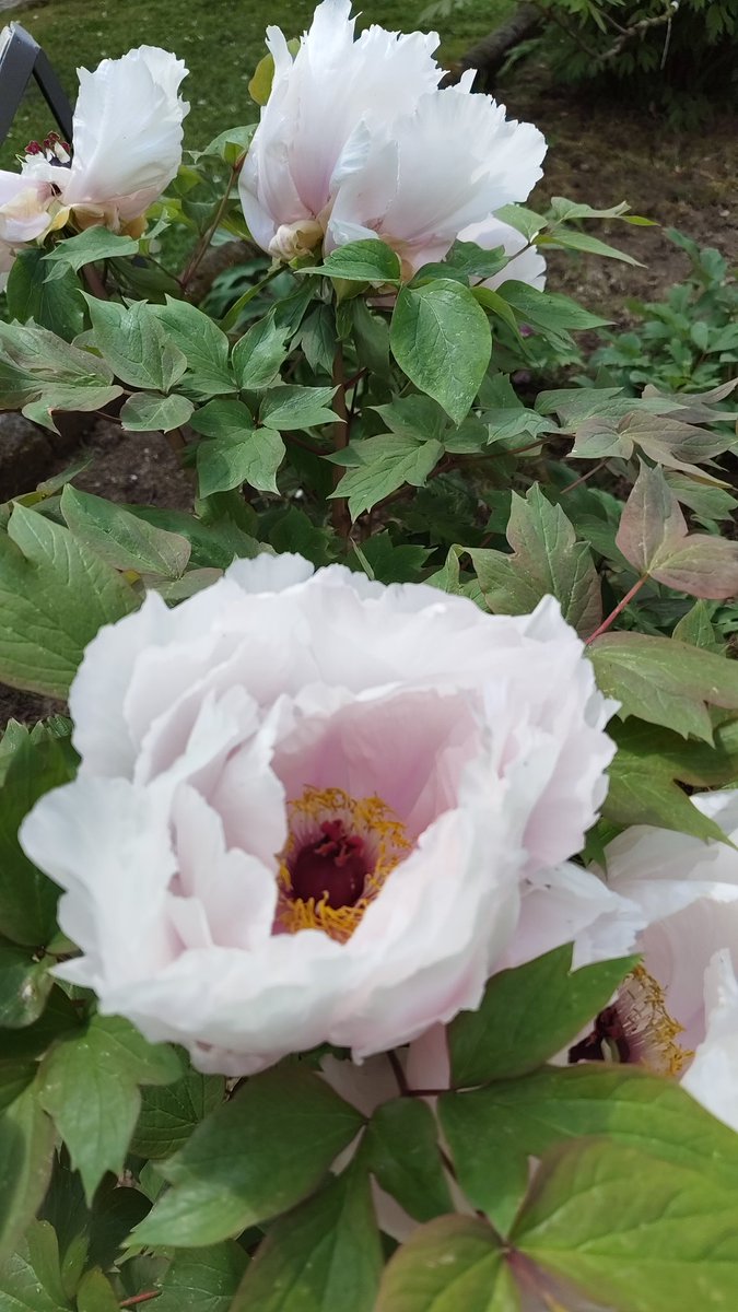 Matteo Palmisani tweet media