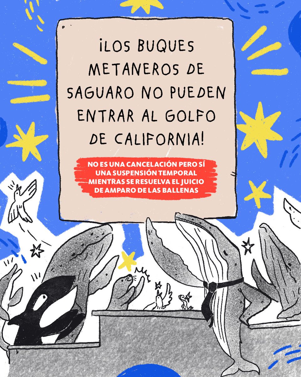 Conexiones Climáticas tweet media