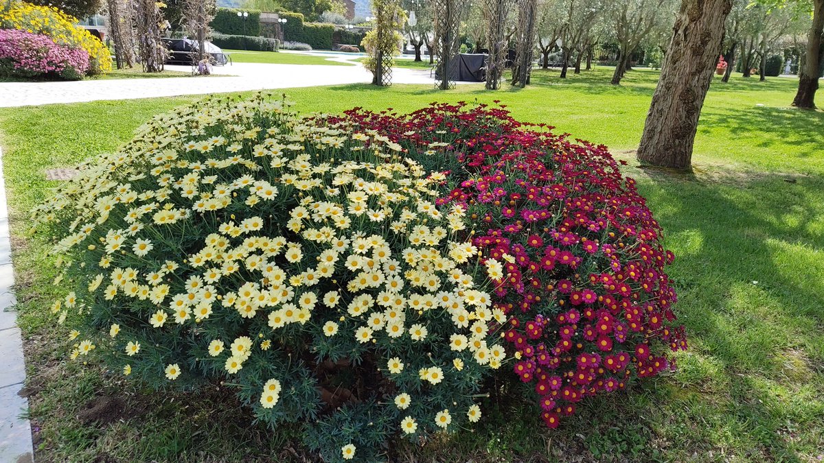 Matteo Palmisani tweet media