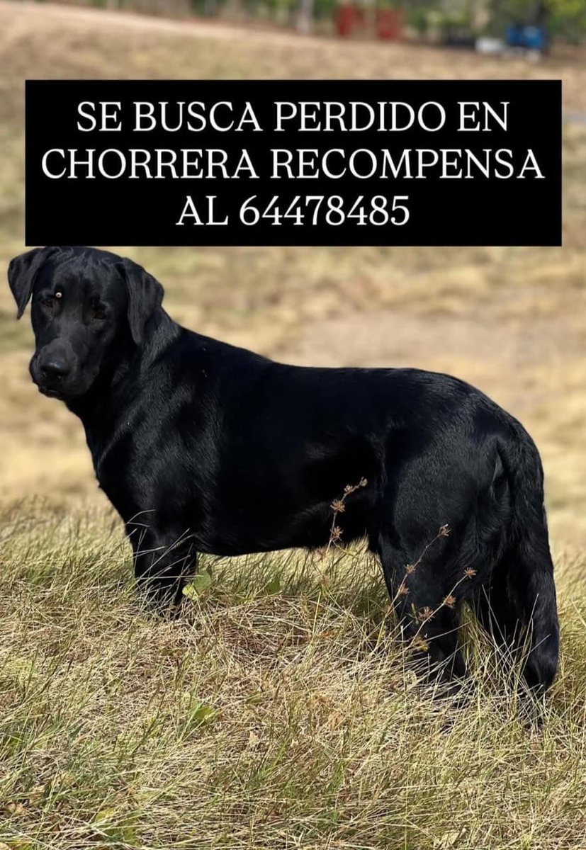 CHORRERA😫😫😫⬇️⬇️⬇️
AYUDEMOS COMPARTIENDO 
🙏🏽🙏🏽🙏🏽🙏🏽🙏🏽
