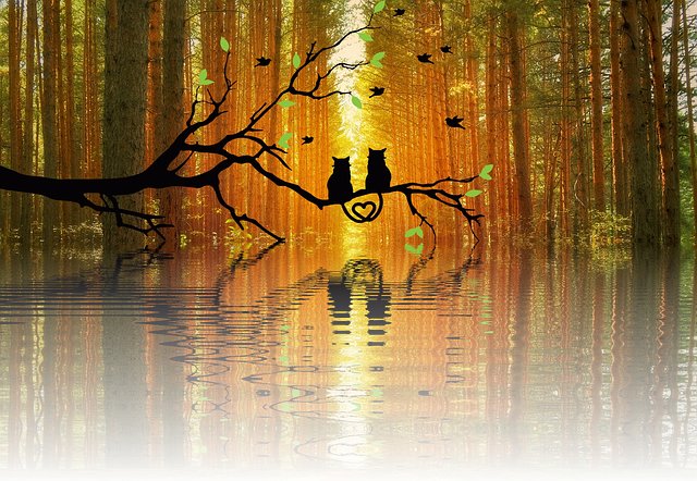 Leslie Thornton tweet media