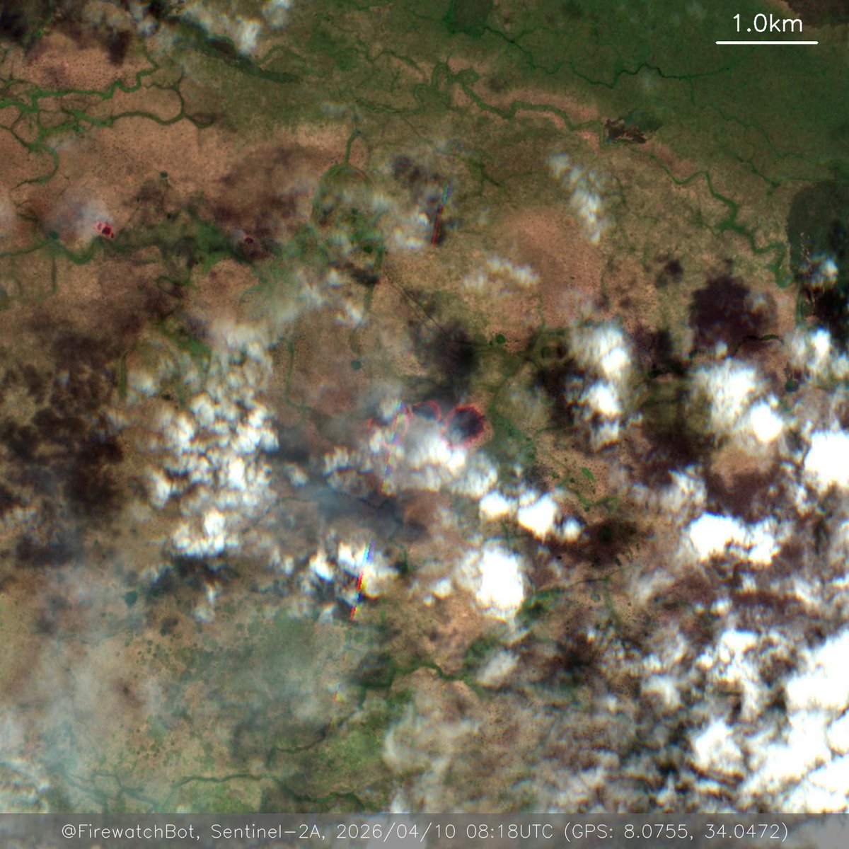 firewatchbot's tweet image. Fire detected from #Sentinel2

🗺 Place: ኑዌር።, ጋምቤላ, #Ethiopia
🕛 Date: 2026/04/10 08:18UTC

View location: maps.google.com/?q=8.075476175… (8.0755, 34.0472)