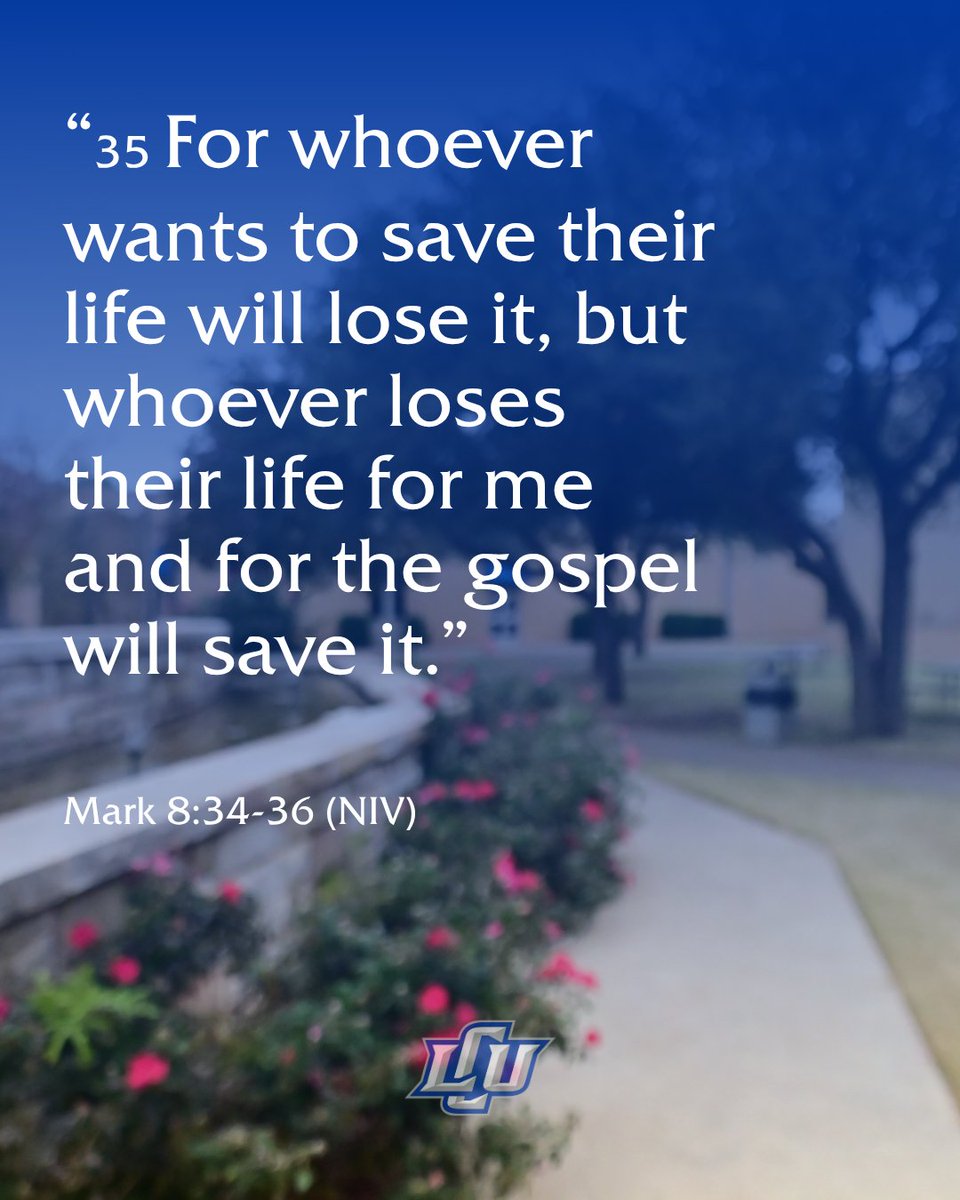 Lubbock Christian University tweet media