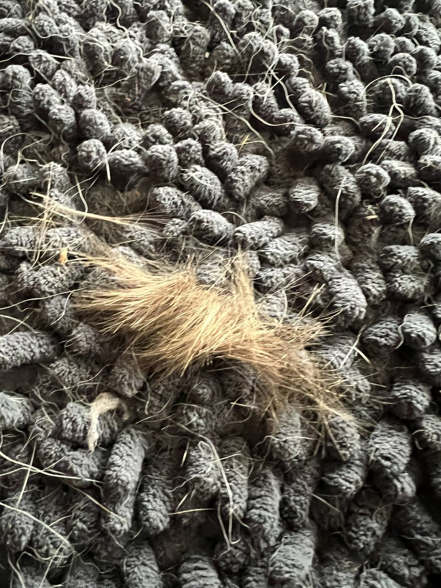 Clay Martin ⚔️ tweet media