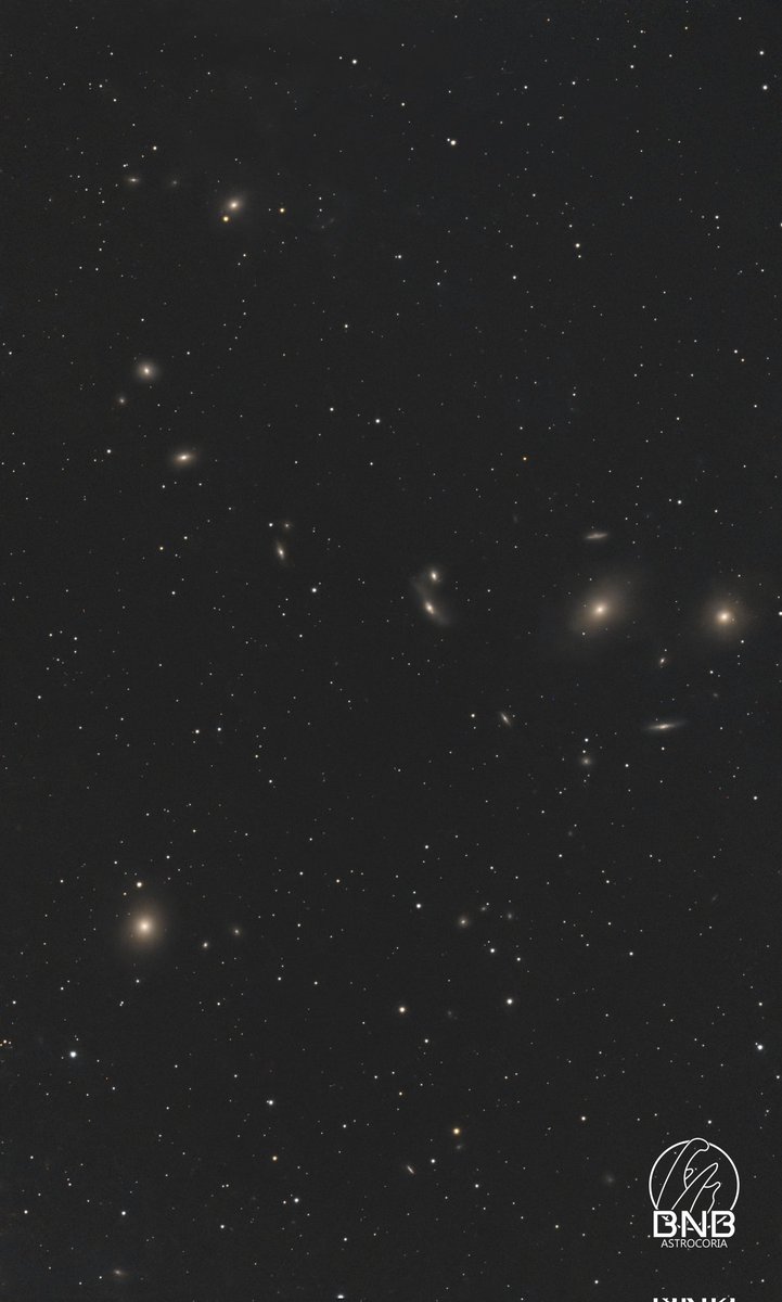 Astrocoria tweet media