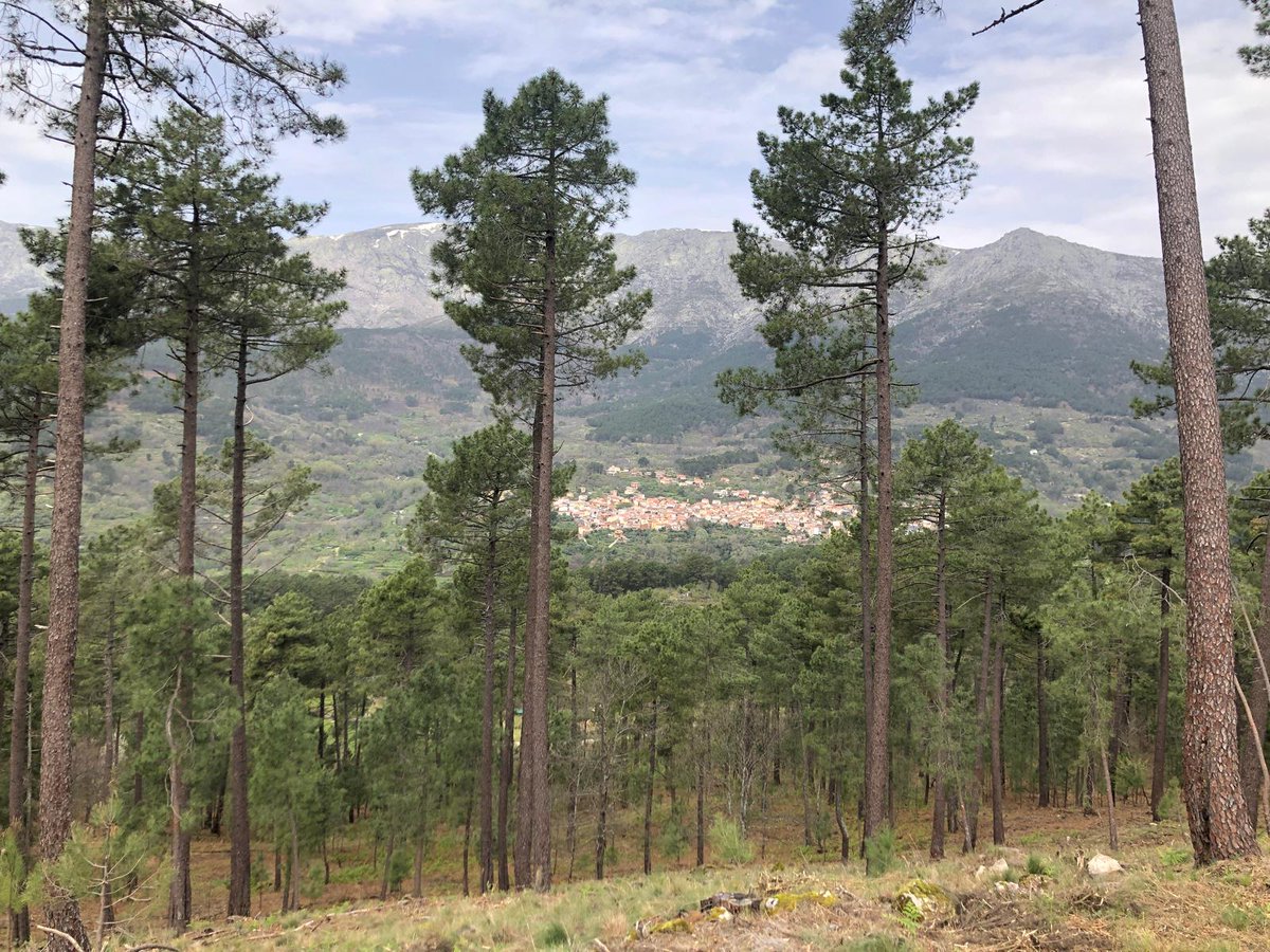Naturaleza Castilla y León tweet media
