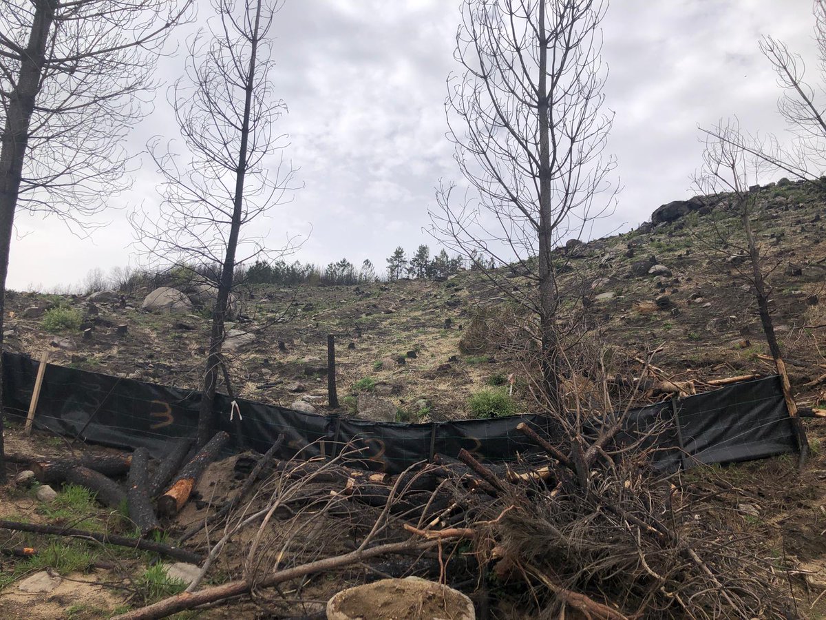 Naturaleza Castilla y León tweet media