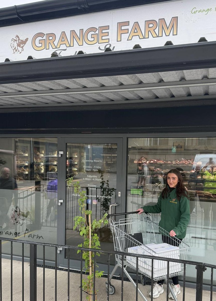 Hanover F.C. tweet media