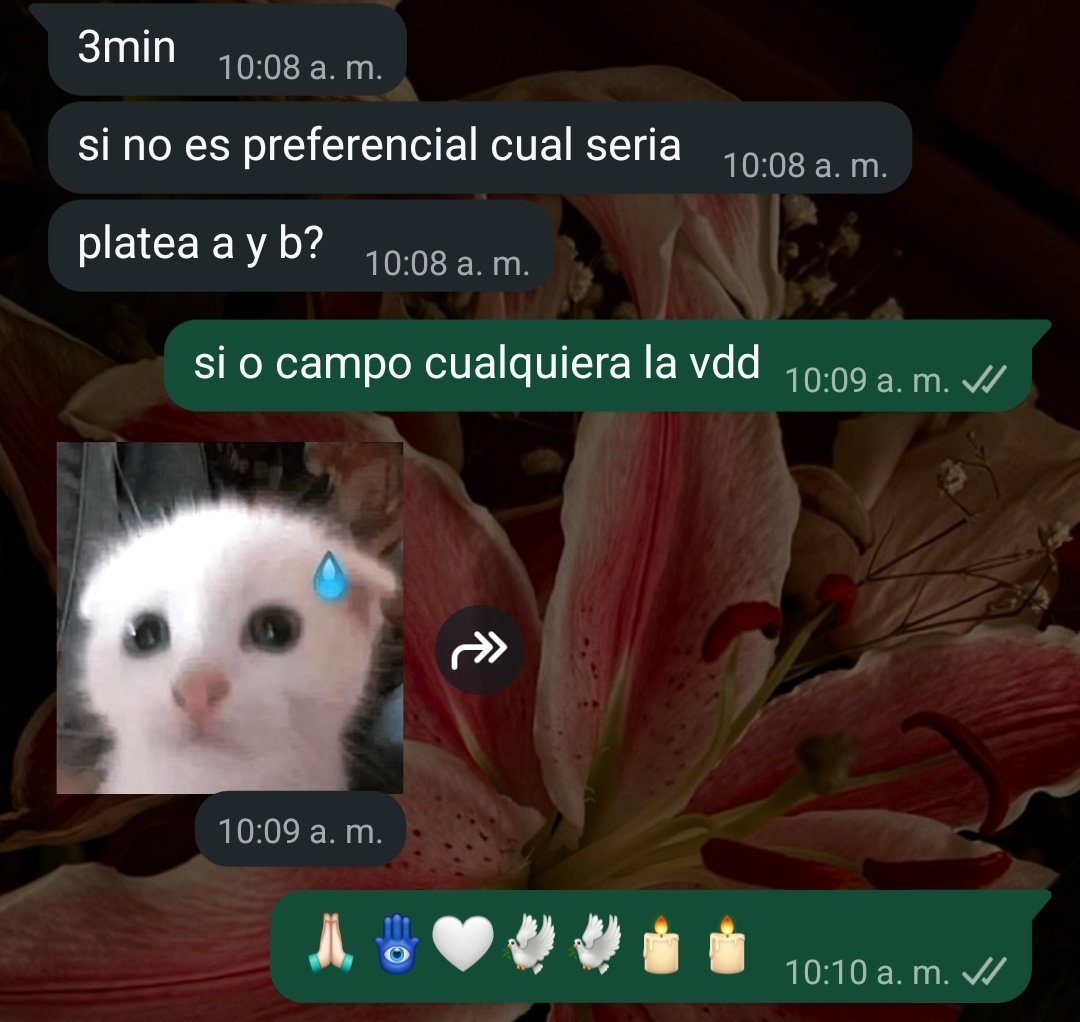 ori⁷ 🌿 VOY A VER A BTS tweet media