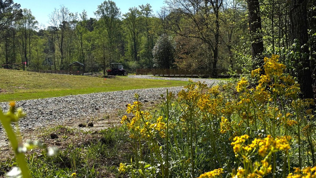cityofmiltonga's tweet photo. Wildflower work is underway at Milton City Park and Preserve.

Crews have started mowing and prepping ~11 acres, with 2 to 3 acres completed per day. Seeding is next, with a goal to finish by April 15. Boardwalk cleaning and staining will follow, so expect some temporary access impacts.

Blooms are on the way.

#MiltonGA #MCPP #ParksAndRec #Wildflowers #CommunityUpdate