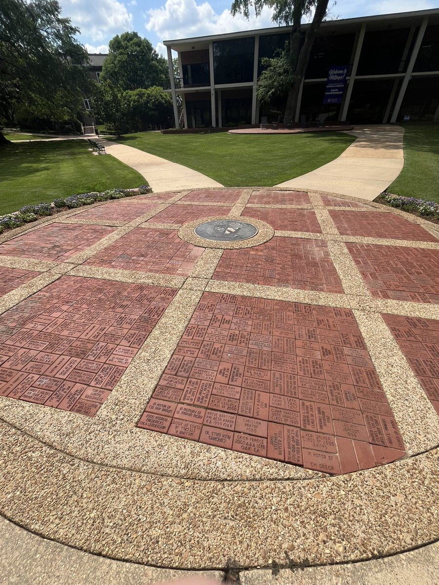 Griffin Levine tweet media