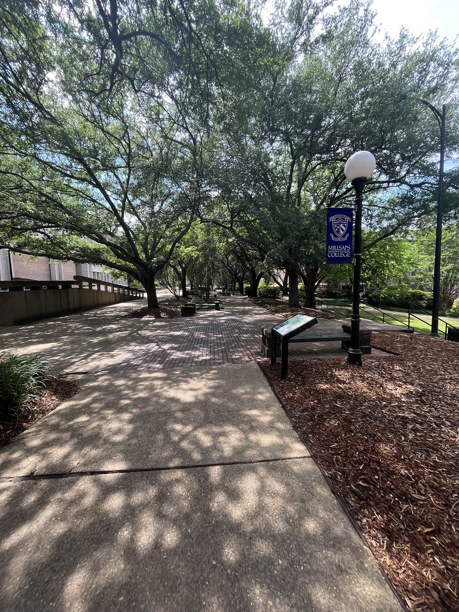 Griffin Levine tweet media