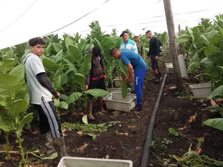 Elieser Gomez tweet media